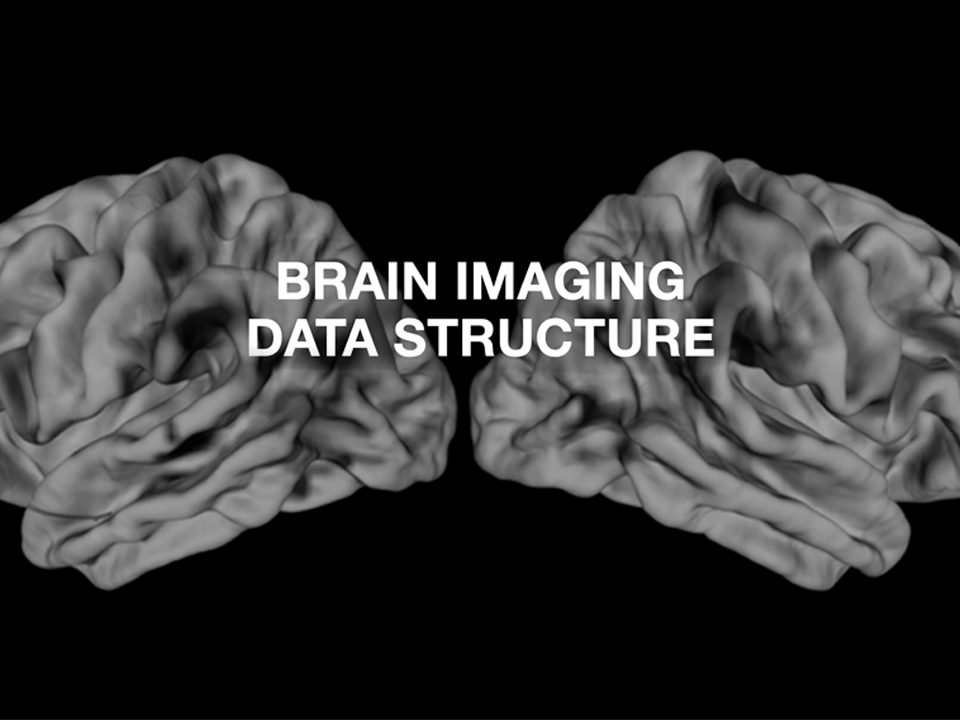 Brain Imaging Data Structure (BIDS; Canada, France, Germany, UK, USA)